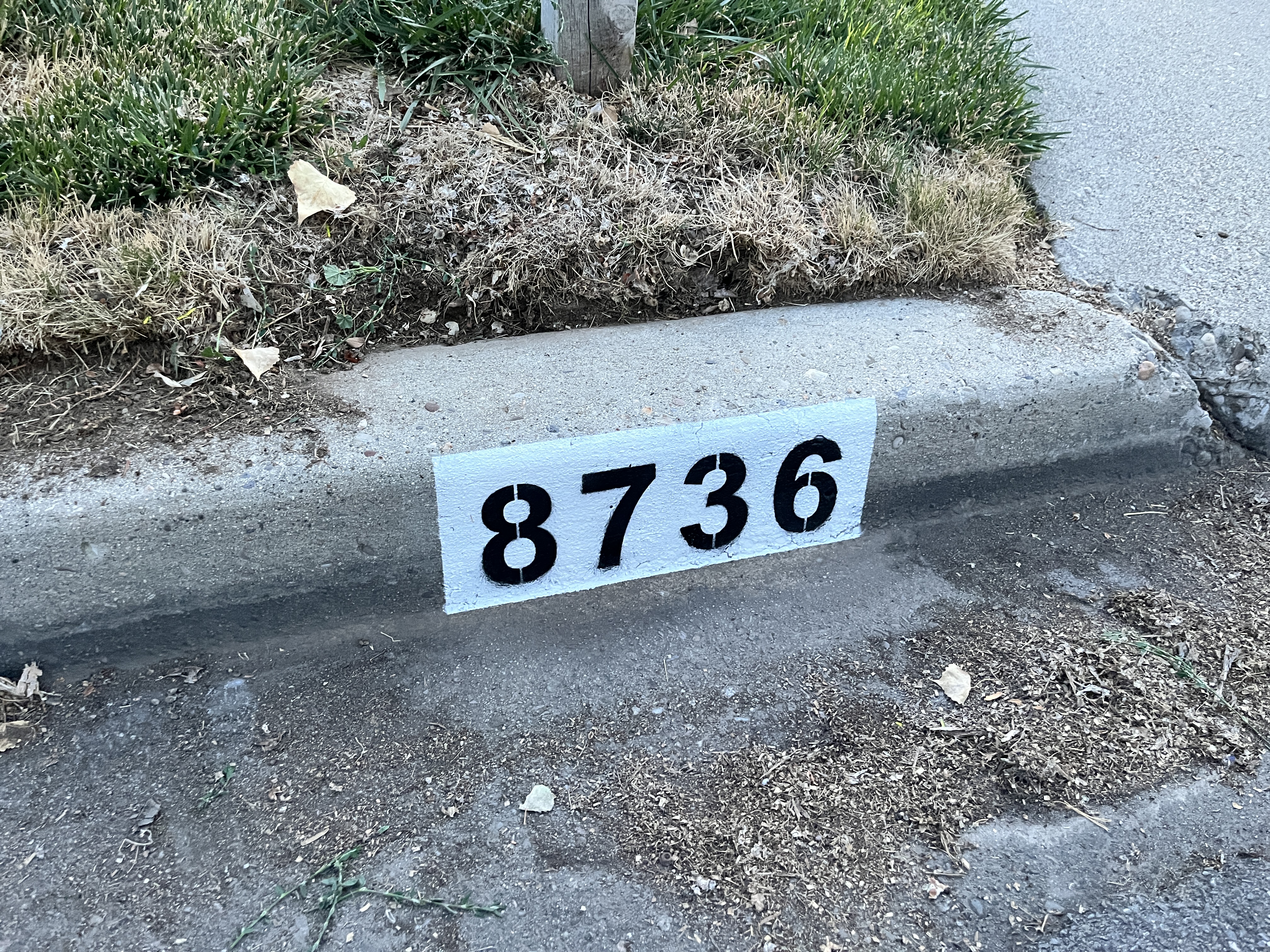 After: crisp black 8736 address numbers on a freshly painted white curb background